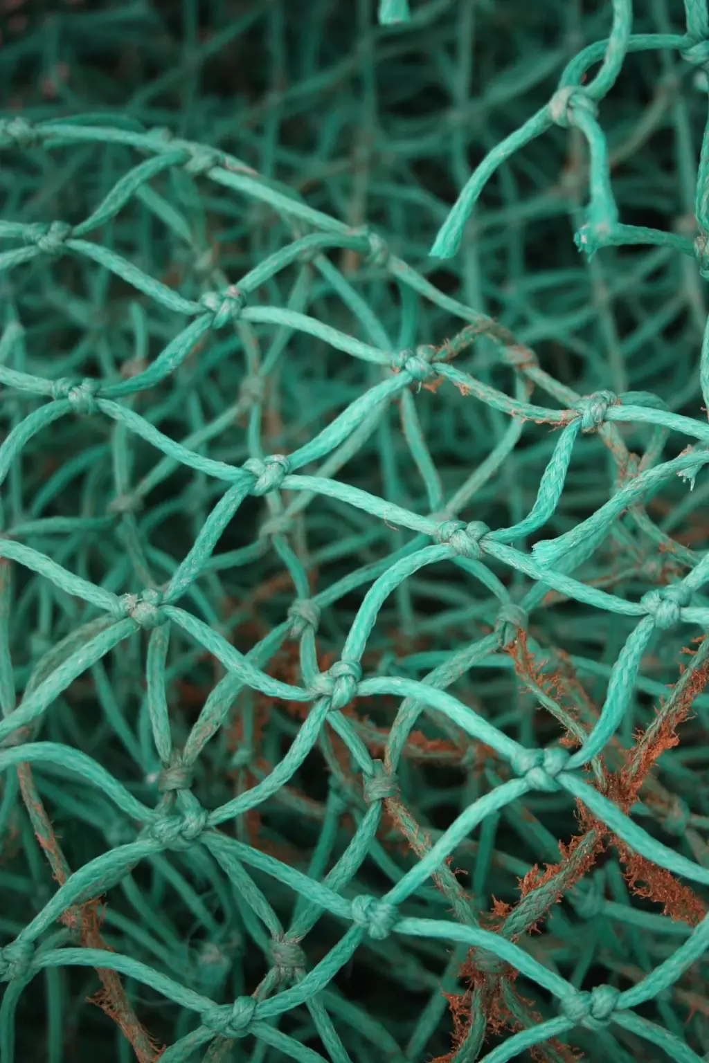3d printed fishing net
